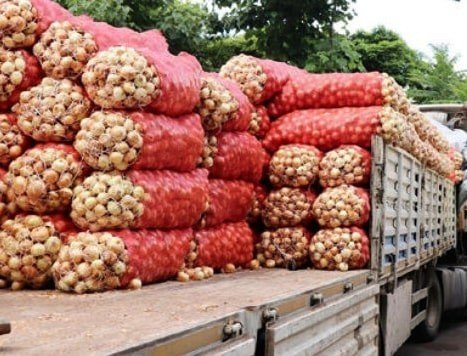 �cretsiz patates ve so�an da��t�m� tamamland�