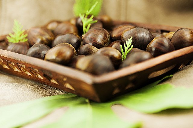 Kestane ihracat yolcusu