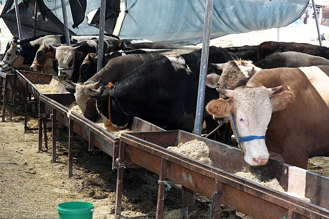 Karaba�lar Belediyesi'nden Kurban Bayram� denetimleri